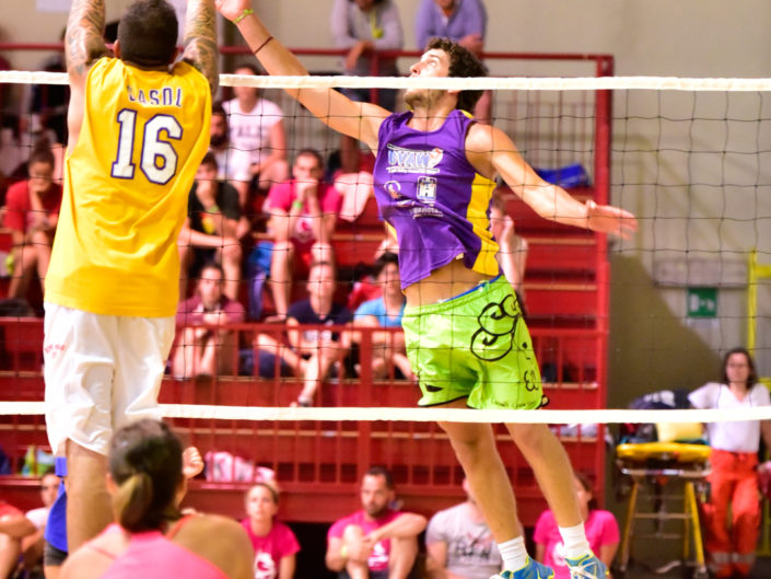 VGC2015 Veneto Green Cup