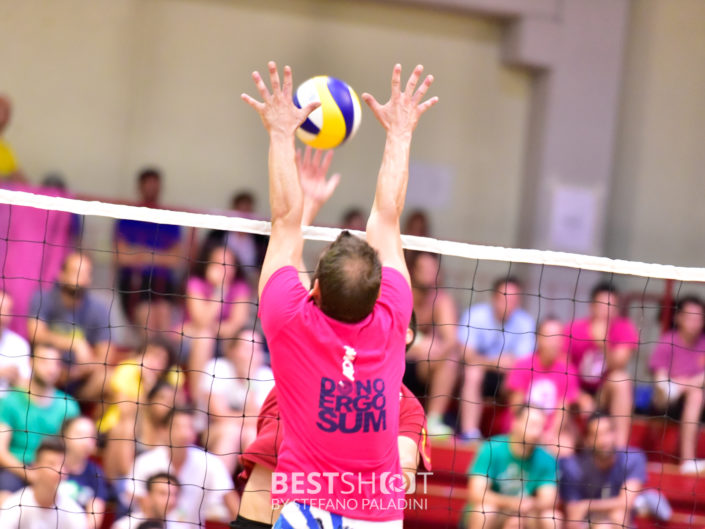 VGC2015 Veneto Green Cup