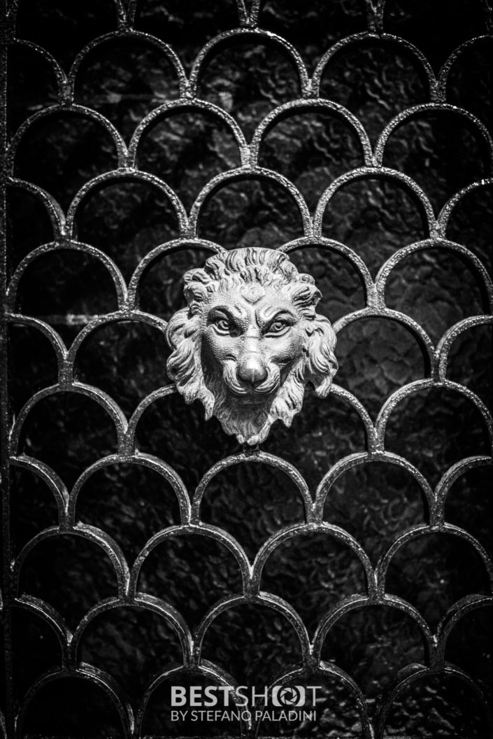 Doors - Venice - Stefano Paladini
