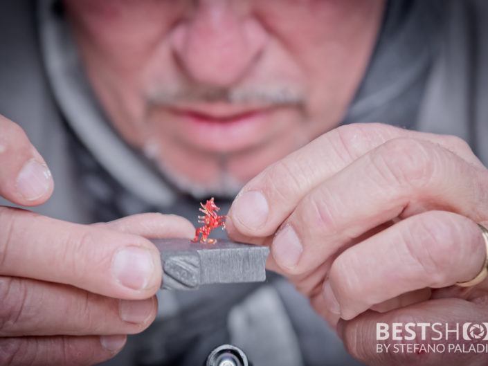AltroLato BestShot Photo