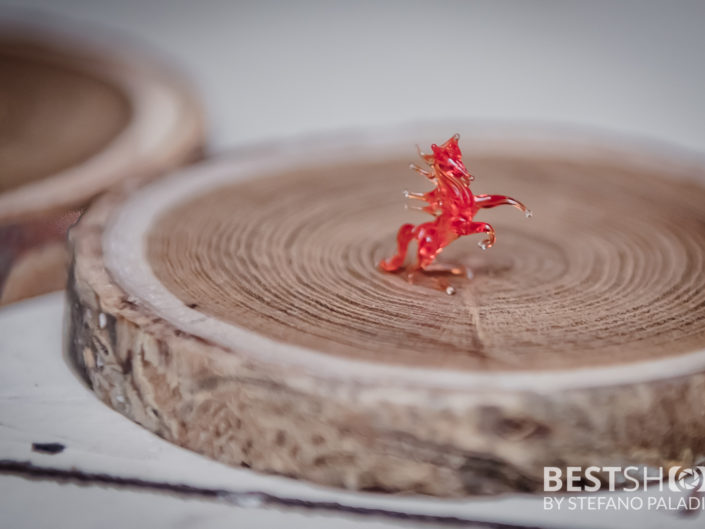 AltroLato BestShot Photo